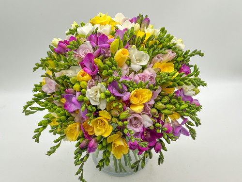 Buchet 65 de frezii multicolore